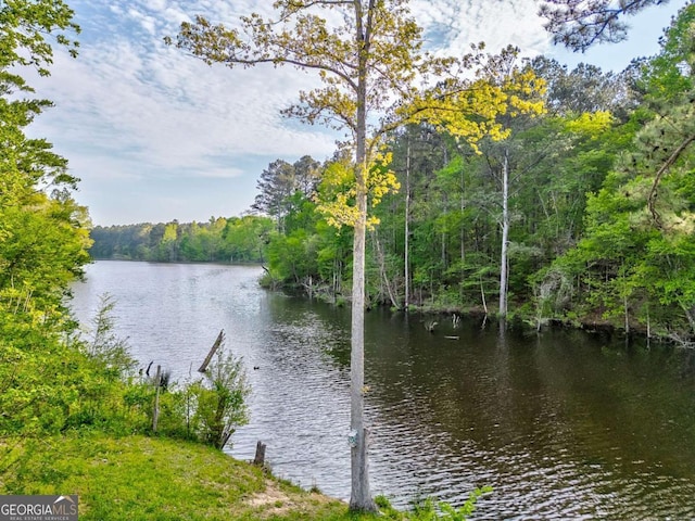 property view of water featuring a forest view