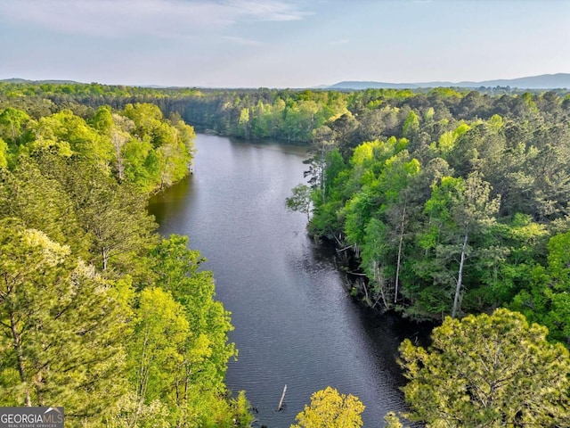 birds eye view of property featuring a water view and a view of trees