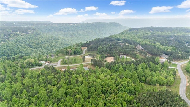 6740 Raulston Falls Rd Unit Jf91, Jasper, TN 37347