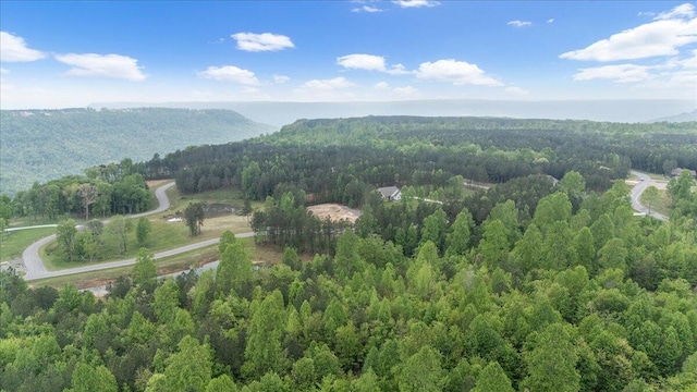 6740 Raulston Falls Rd Unit Jf91, Jasper, TN 37347