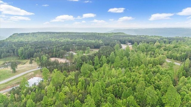 6740 Raulston Falls Rd Unit Jf91, Jasper, TN 37347