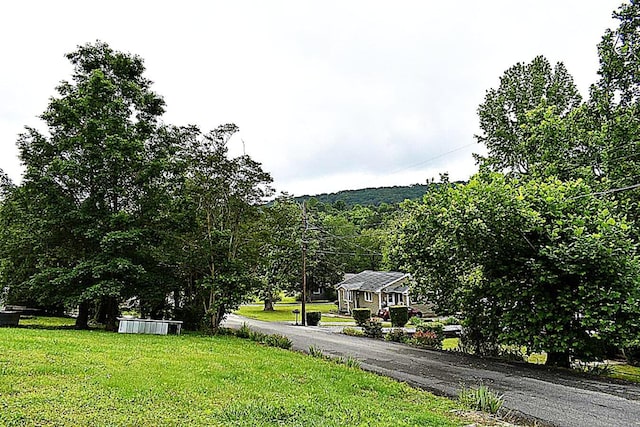view of asphalt road