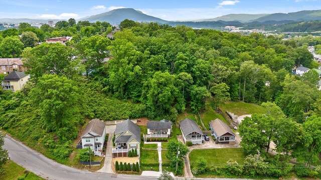 birds eye view of property with a mountain view