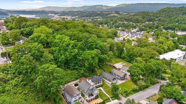 bird's eye view featuring a residential view and a mountain view