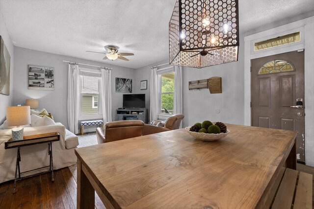 dining room featuring a ceiling fan, a textured ceiling, and dark wood finished floors