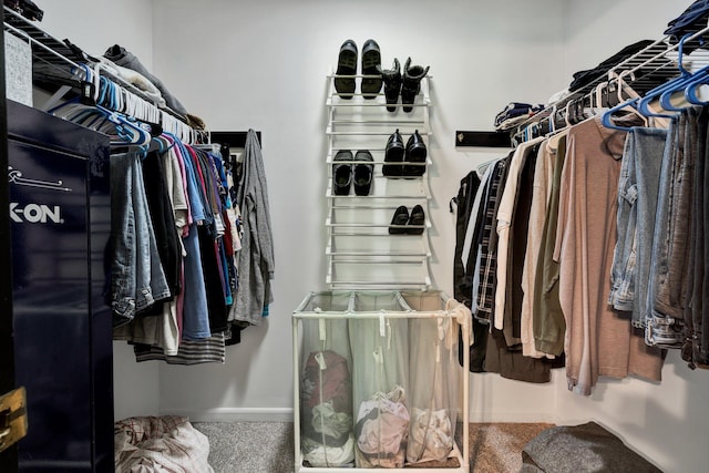 286 Pine Grove Rd, New Hope, TN 37380 - walk in closet featuring carpet