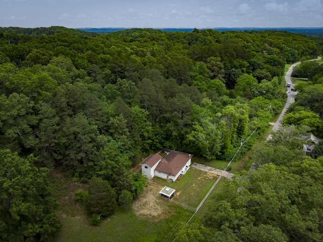 1204 N Long Hollow Rd, Chickamauga, GA 30707 - aerial overview of property's location with a forest