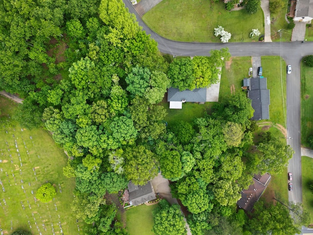bird's eye view