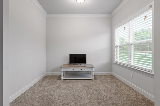 9726 Haven Port Ln, Ooltewah, TN 37363 - misc room with ornamental molding, carpet floors, and baseboards