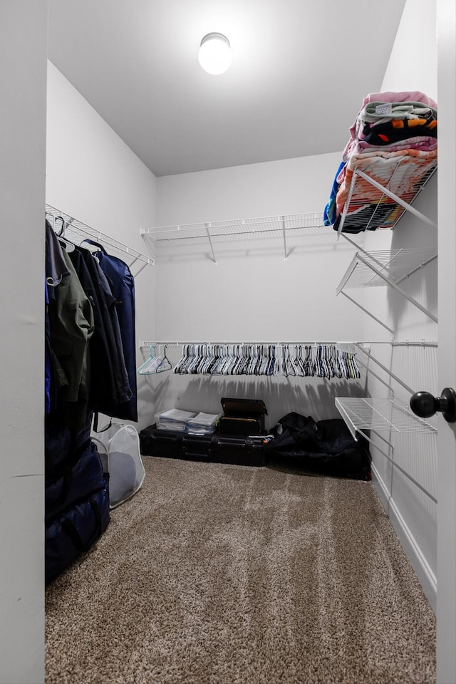 9726 Haven Port Ln, Ooltewah, TN 37363 - walk in closet featuring carpet