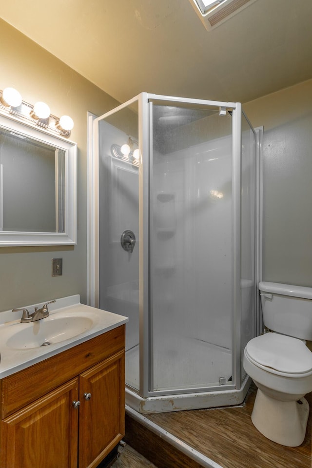 bathroom featuring vanity, toilet, and a shower stall