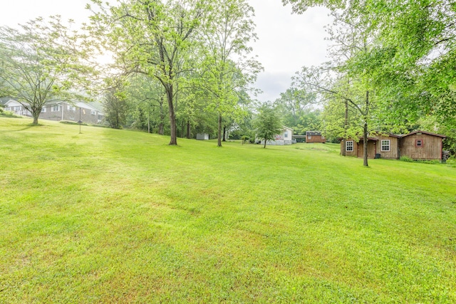 view of yard