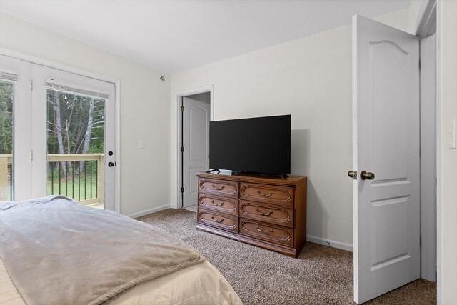 7403 Flagstone Dr, Ooltewah, TN 37363 - carpeted bedroom with baseboards and access to exterior