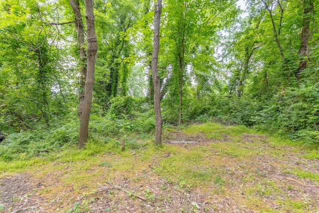 view of yard with a view of trees
