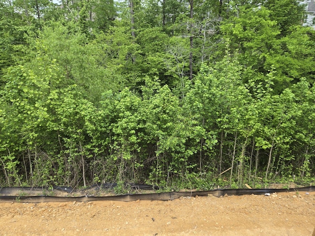 10586 Brownspring Dr Unit 113, Apison, TN 37302 - view of nature