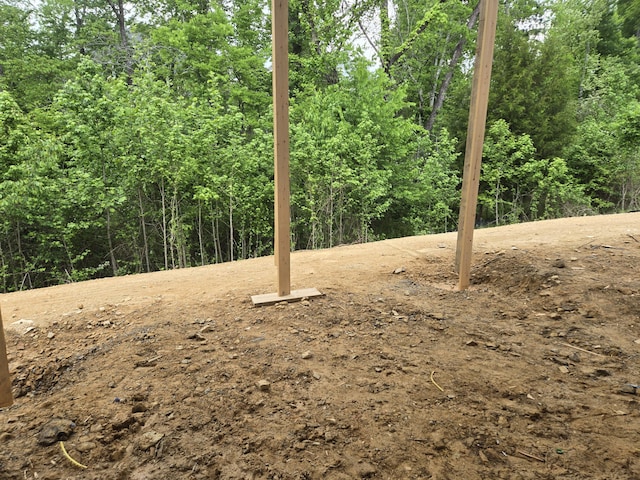 10586 Brownspring Dr Unit 113, Apison, TN 37302 - view of yard