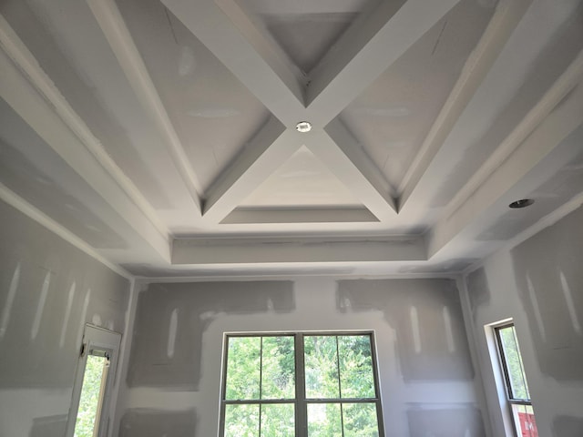 10586 Brownspring Dr Unit 113, Apison, TN 37302 - detailed view of coffered ceiling