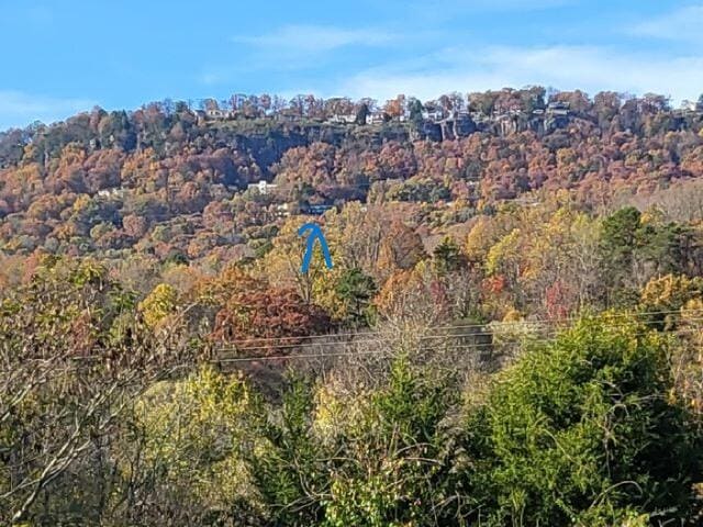 aerial view with a wooded view