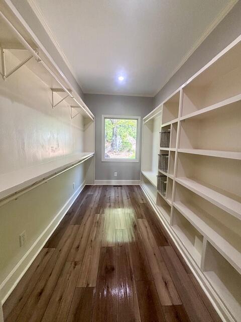 spacious closet featuring dark wood-style flooring