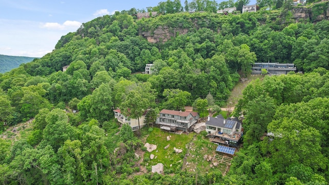 1206 Lower Brow Rd, Signal Mountain, TN 37377 - aerial overview of property's location with a heavily wooded area