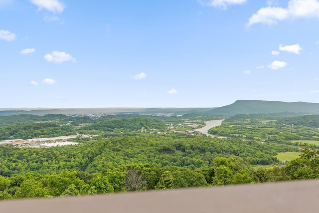 1206 Lower Brow Rd, Signal Mountain, TN 37377 - view of mountain background featuring a forest