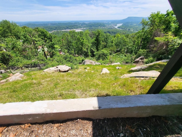 1206 Lower Brow Rd, Signal Mountain, TN 37377 - view of mountain background featuring a forest