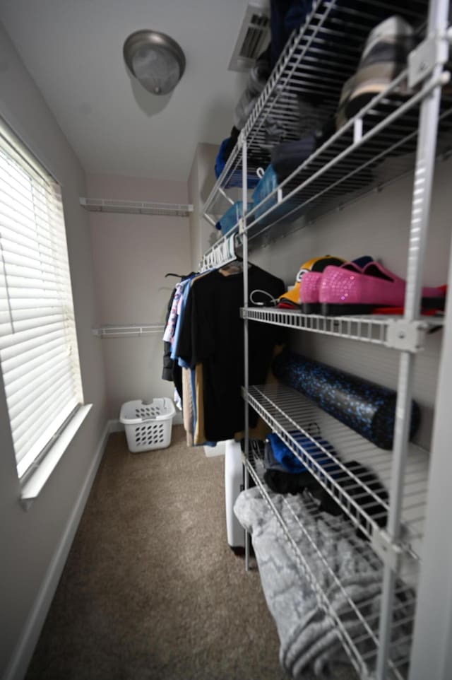 spacious closet with carpet flooring