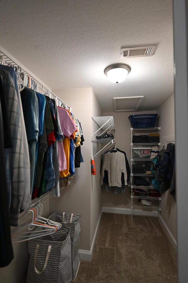spacious closet featuring visible vents, carpet, and attic access
