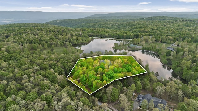 234 Reflection Dr, Dunlap, TN 37327 - bird's eye view of a forest and a nearby body of water
