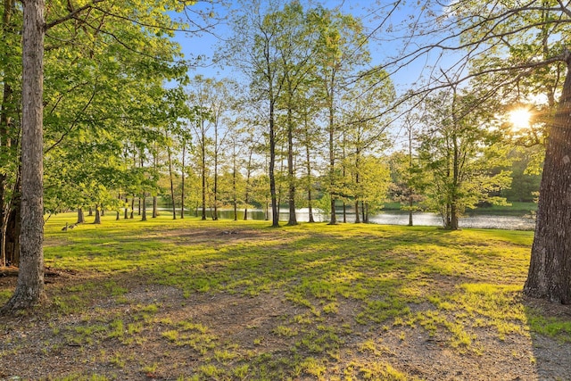 234 Reflection Dr, Dunlap, TN 37327 - view of yard featuring a water view