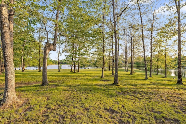 234 Reflection Dr, Dunlap, TN 37327 - view of green lawn with a water view