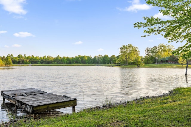 234 Reflection Dr, Dunlap, TN 37327 - water view featuring a boat dock