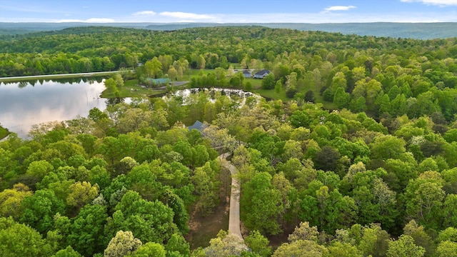 234 Reflection Dr, Dunlap, TN 37327 - drone / aerial view of a forest and a large body of water