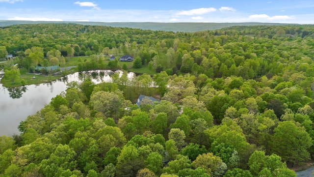 234 Reflection Dr, Dunlap, TN 37327 - drone / aerial view of a forest and a nearby body of water