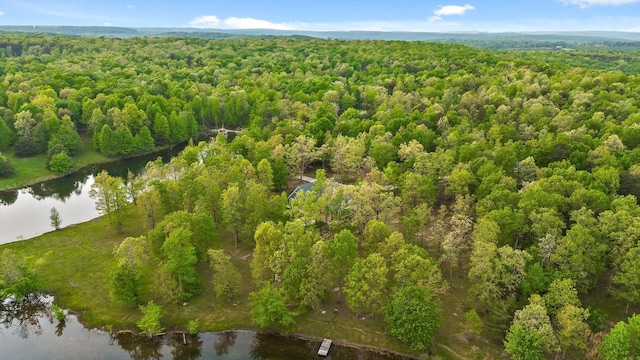 234 Reflection Dr, Dunlap, TN 37327 - drone / aerial view of a heavily wooded area and a large body of water