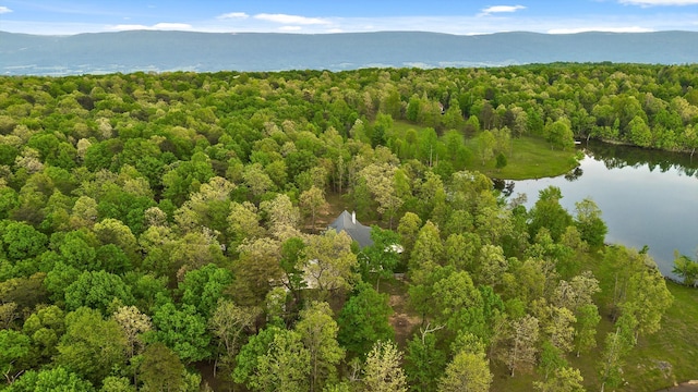 234 Reflection Dr, Dunlap, TN 37327 - bird's eye view of a forest and a water and mountain view