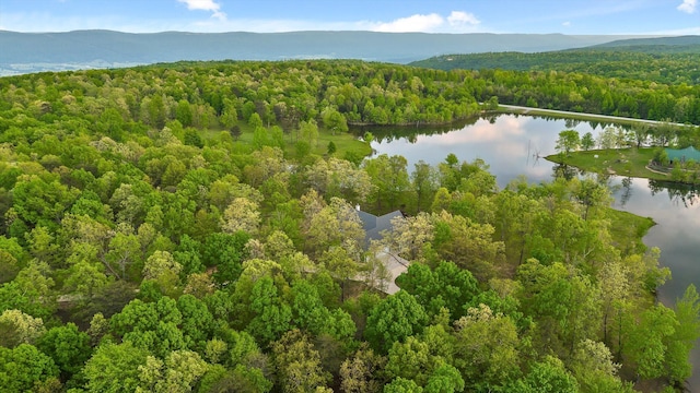 234 Reflection Dr, Dunlap, TN 37327 - drone / aerial view of a forest and a nearby body of water