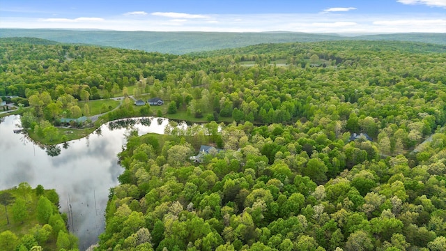 234 Reflection Dr, Dunlap, TN 37327 - drone / aerial view of a forest and a nearby body of water
