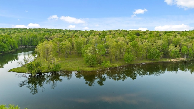 234 Reflection Dr, Dunlap, TN 37327 - water view featuring a heavily wooded area
