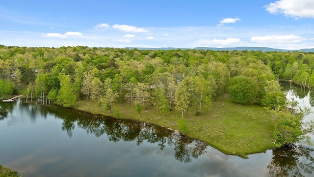 234 Reflection Dr, Dunlap, TN 37327 - drone / aerial view of a heavily wooded area and a nearby body of water