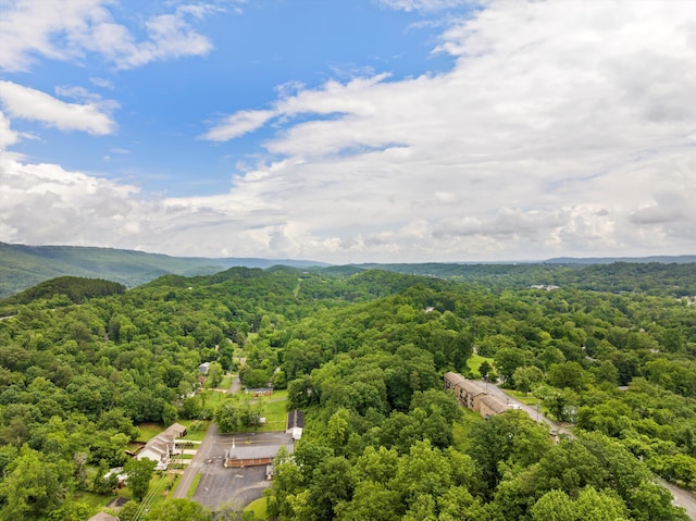 523 Hedgewood Dr, Chattanooga, TN 37405 - photo 28