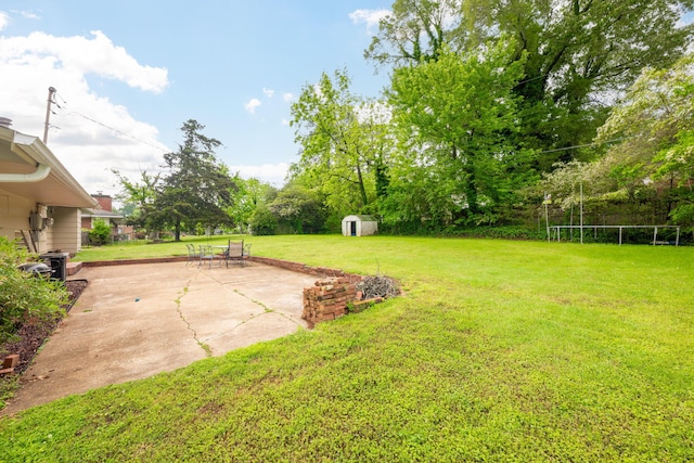 view of yard featuring a patio, an outdoor structure, and a storage shed
