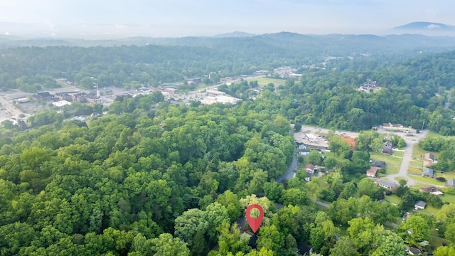 4111 Mccahill Rd, Chattanooga, TN 37415 - photo 9