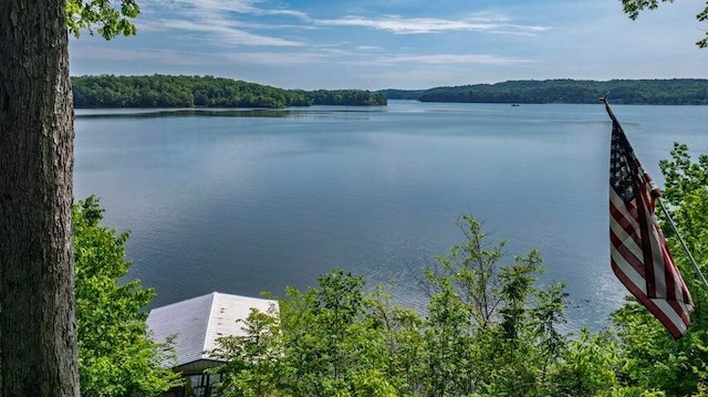 292 Hilltop Cir, Spring City, TN 37381 - property view of water featuring a view of trees