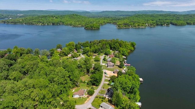 292 Hilltop Cir, Spring City, TN 37381 - bird's eye view featuring a water view and a view of trees