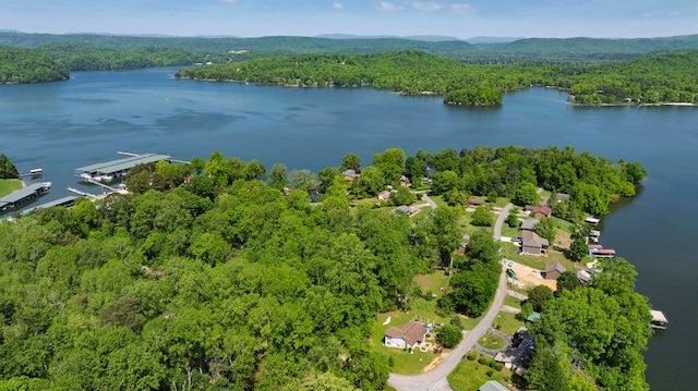 292 Hilltop Cir, Spring City, TN 37381 - aerial view featuring a forest view and a water view