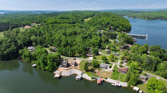 292 Hilltop Cir, Spring City, TN 37381 - drone / aerial view featuring a water view and a wooded view