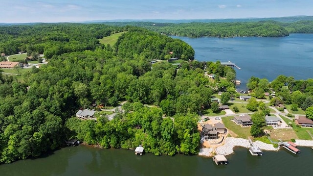 292 Hilltop Cir, Spring City, TN 37381 - drone / aerial view featuring a view of trees and a water view