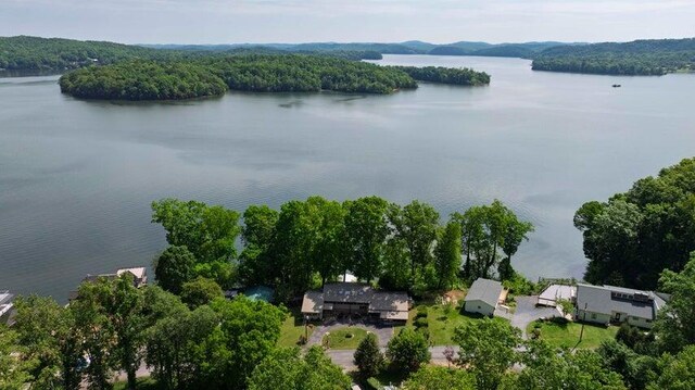 292 Hilltop Cir, Spring City, TN 37381 - aerial view with a water view and a wooded view