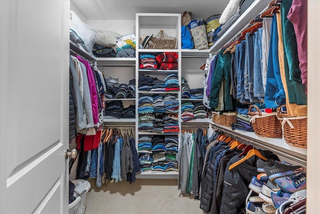 1383 Carrington Way, Chattanooga, TN 37405 - walk in closet with carpet flooring